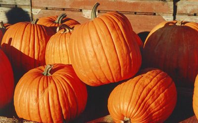 Big pumpkins, too many stairs…