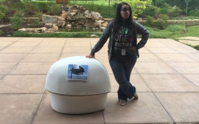 We Were Struck by Lightning