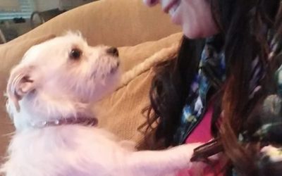 Alice Has a Home!
