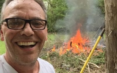 Like a Frog to the Flame