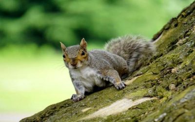 God’s Amazing Plan