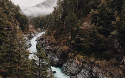 What Are YOU Afraid Of?