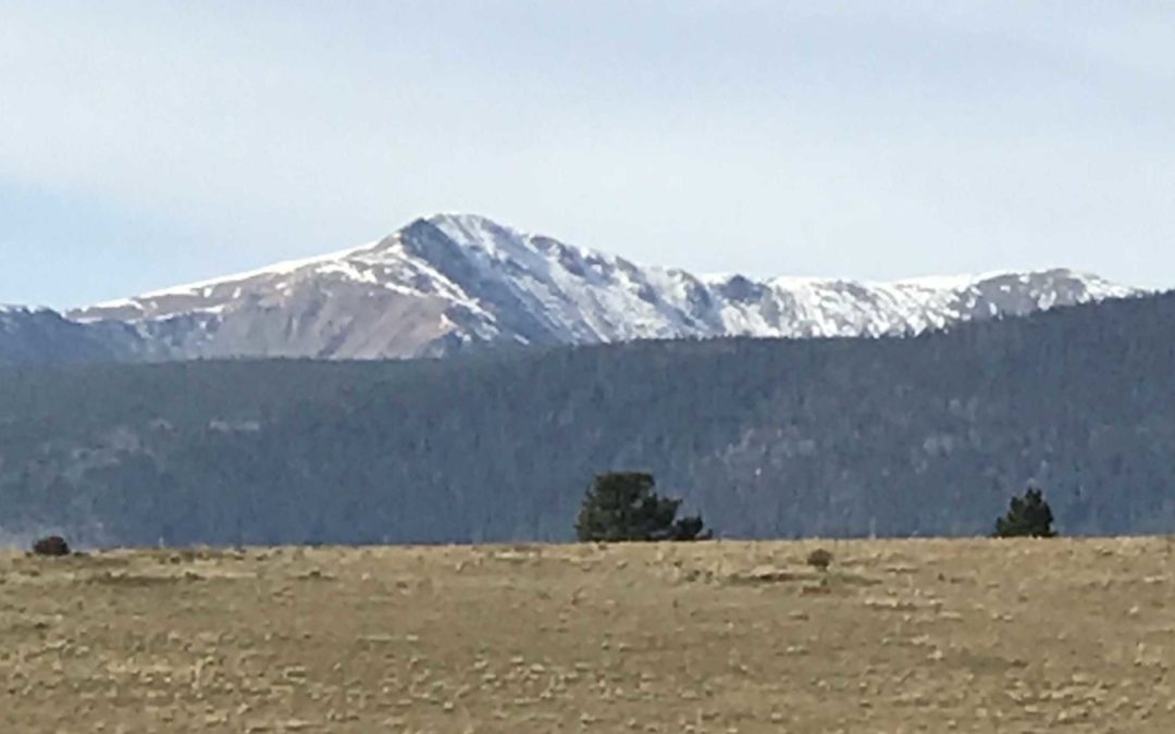 Finding Peace in the Prince