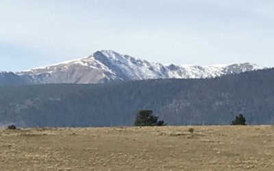 Finding Peace in the Prince