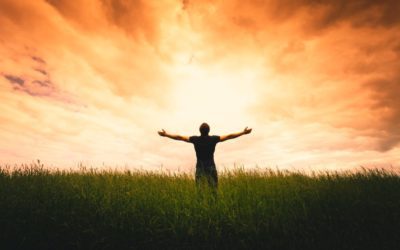 Top 10 Ways to Keep Yourself Alive