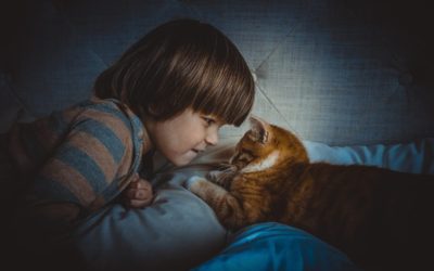 Cat Notes and Kid Quotes