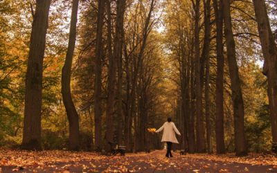 Taking a Walk with God
