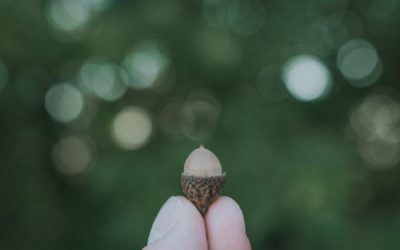 Faith Can Start Small