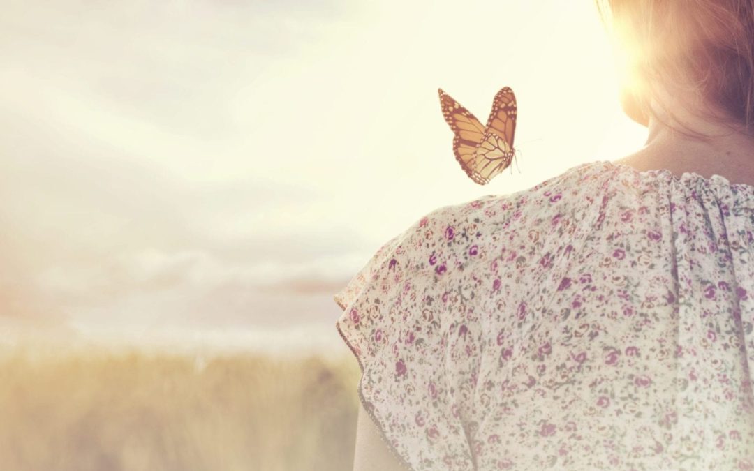 The Beauty of Butterflies