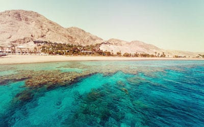 What’s YOUR Red Sea?