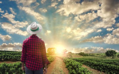 When God Made a Farmer