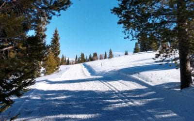 Hitting the Goal or Missing the Most