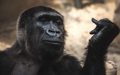 Grace for the Conceited