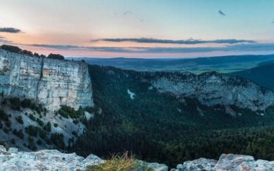 Large Thinking for Limited Brains