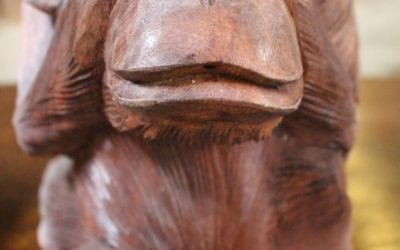 Images May be Disturbing (Not Really)