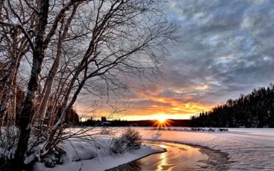 Snowpocolypse Postlude